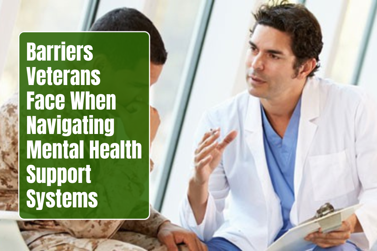 Barriers Veterans Face When Navigating Mental Health Support Systems