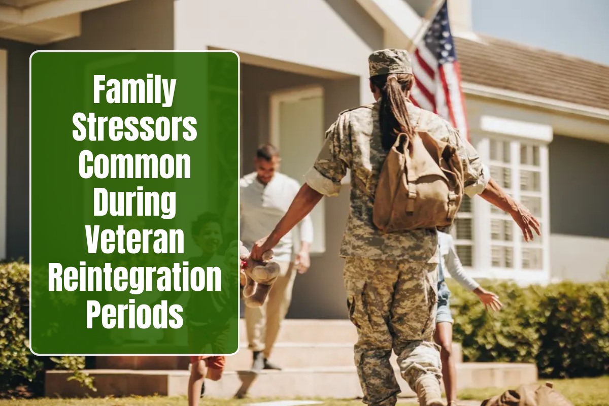 Family Stressors Common During Veteran Reintegration Periods